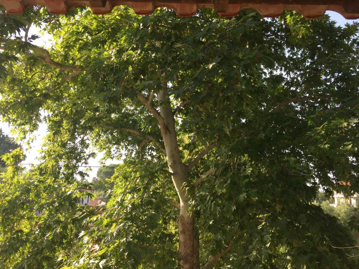 La Maison Des Vacances Vourvourou Esterno foto