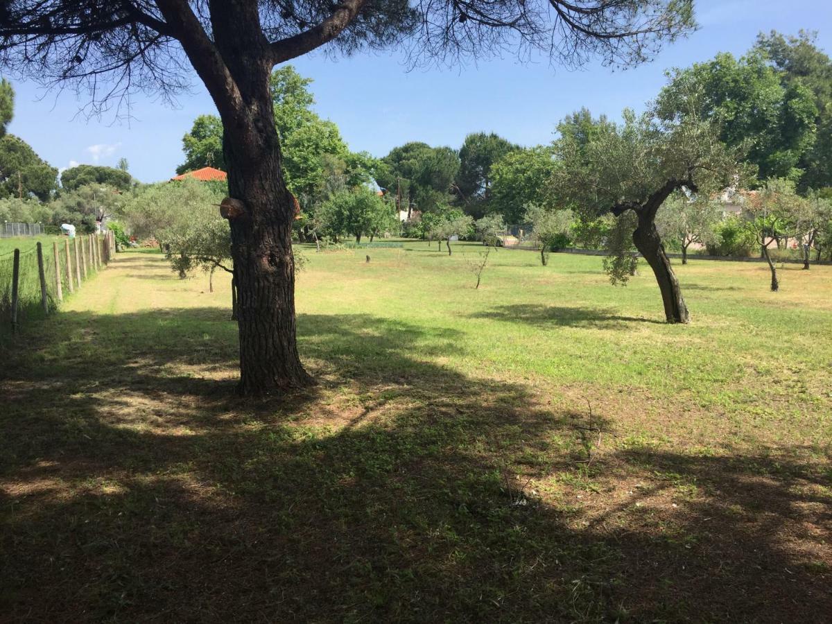 La Maison Des Vacances Vourvourou Esterno foto